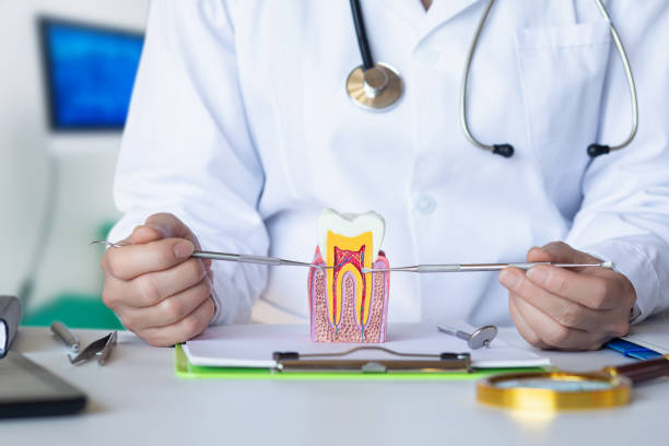 Best Emergency Tooth Extraction in King Arthur Park, MT